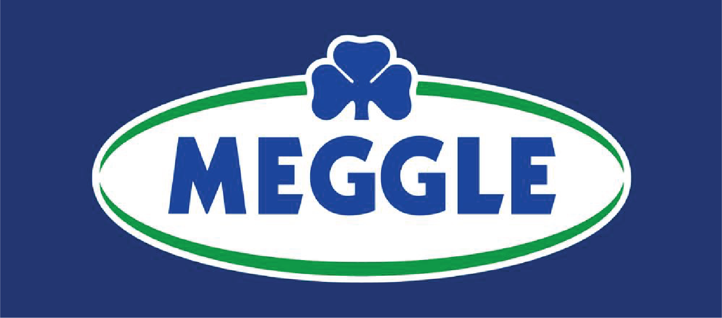 МЕГЛЕ